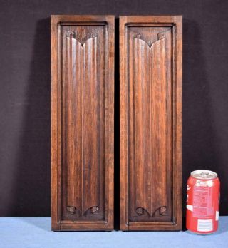 Antique French Gothic Revival Panels In Oak Wood Salvage W/linen Fold Carvings