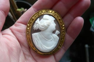Victorian Shell Cameo And 9 Carat Gold Brooch