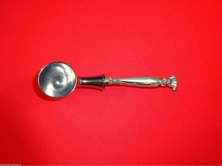 Romance Of The Sea By Wallace Sterling Silver Coffee Scoop Hh Custom Made 6 "