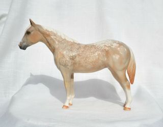 Tr Qh Palomino Appaloosa Quarter Horse Ceramic China Figurine