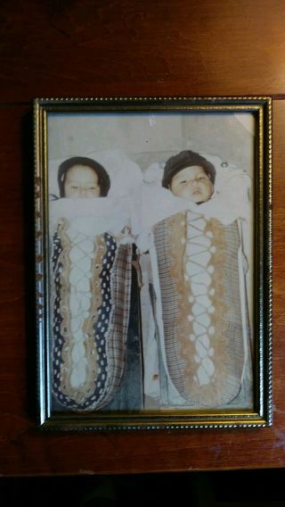 Vintage Photo Of Twin Cree First Nation Boys On Cradle Boards