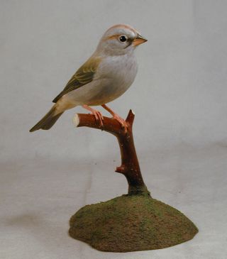 Olive Sparrow Wood Carving