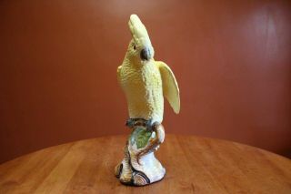 Vintage Mid Century Large Ceramic Cockatoo Parrot Bird 7 