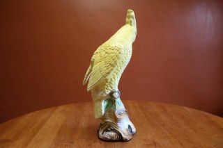 Vintage Mid Century Large Ceramic Cockatoo Parrot Bird 7 