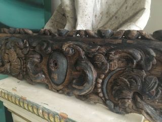 Antique 17th Century,  Hand Carved Oak Relief Panel 46cm