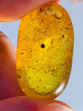 2.  2g Unknown Bug&many Bubbles Burmite Myanmar Amber Insect Fossil Dinosaur Age