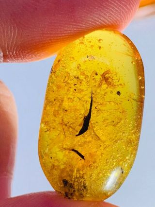 2.  2g unknown bug&many bubbles Burmite Myanmar Amber insect fossil dinosaur age 2