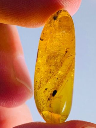 2.  2g unknown bug&many bubbles Burmite Myanmar Amber insect fossil dinosaur age 3