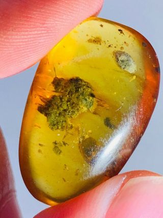 1.  38g Unknown Item&muds Burmite Myanmar Burmese Amber Insect Fossil Dinosaur Age