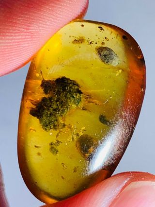 1.  38g unknown item&muds Burmite Myanmar Burmese Amber insect fossil dinosaur age 2
