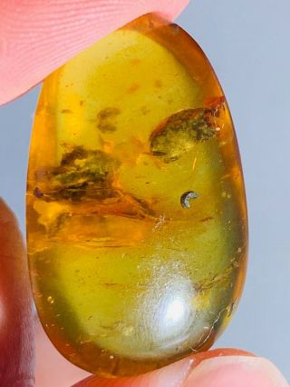 1.  38g unknown item&muds Burmite Myanmar Burmese Amber insect fossil dinosaur age 3