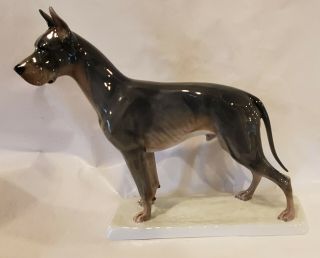 Vintage Rosenthal Great Dane Dog Figurine Rare Colorway