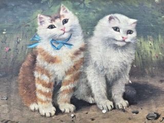 Rare Antique Sophie Sperlich Cat Kitten Oil Painting Gold Frame