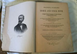 1898 Magner ' s Standard Horse & Stock Book Veterinary Horse Shoe Dairy Chicken 3
