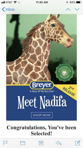 2019 Breyer Nadifa Second In The Wild Animal Series Lonesome Glory Giraffe 1/300