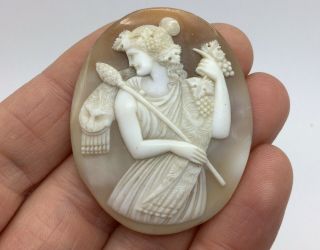 Dionysus - Bacchus Antique Victorian Carved Italian Shell Cameo - Brooch