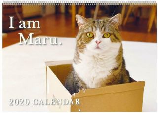 2020 Wall Calendar I Am Maru Maru - Chan Art Print Japan Cat Neko Japanese Ver