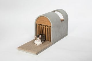 Community Cat - Inspired Shelter By Standard Architecture I Design For Fixnation