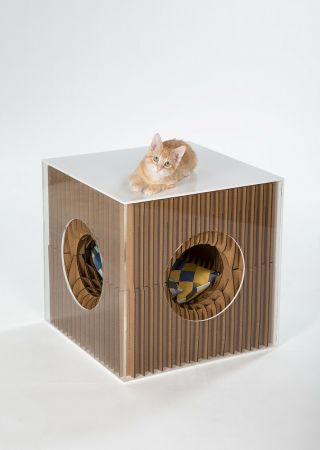 Community Cat - Inspired Shelter By Hok To Benefit Fixnation