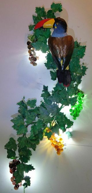 Grey Breasted Mountain Toucan Grapevine Lamp