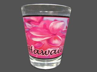 Hawaii Tropical Pink Floral Standard Shot Glass Collectible Barware - Glass