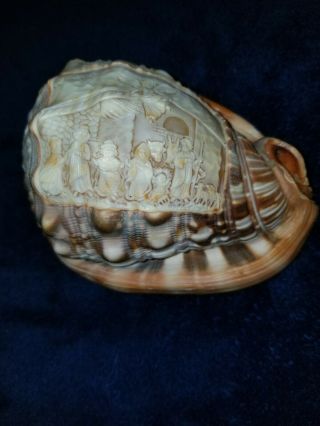 M&m Scognamiglio Conch Shell Nativity Scene Hand Carved In Italy Magnificent