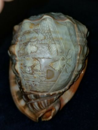 M&M SCOGNAMIGLIO Conch Shell Nativity scene Hand Carved In Italy Magnificent 2