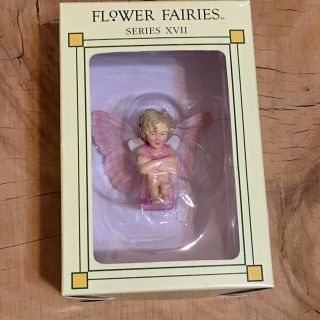 Cicely Mary Barker Flower Fairies Ornament Baby Candytuft Fairy Series Xvii