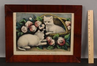 19thc Antique Currier & Ives Hand Colored Lithograph Cat Print,  Kitties & Roses
