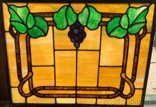 Antique Leaded Stained Glass Grape Vine Window 24 " By 18 " Circa 1920