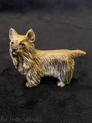 Fritz Bermann Cold Painted Bronze Miniature Of A Yorkie Dog.  Stamped On Bottom.