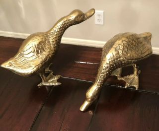 Vintage Mid - Century Set Of 2 Solid Brass Duck Geese By Brass Kingdom Shiny