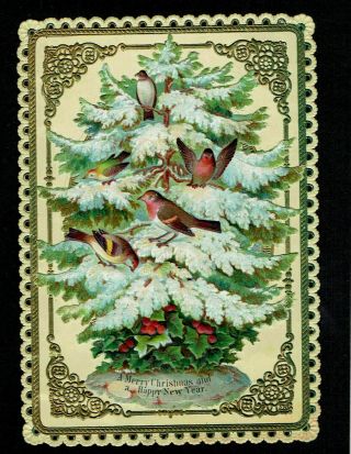 Goodall Victorian Christmas Card Birds On Fir Tree People Scene Behind Vgc