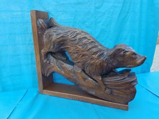 Antique French: Black Forest Corbels/statues Solid Oak,  19th,  Carved Hunting Dog
