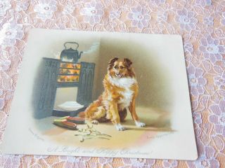 Victorian Christmas Card/dog Sitting By Stove/raphael Tuck/helena Maguire