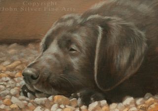 Black Labrador Dog Portrait Oil Painting By Master Artist John Silver