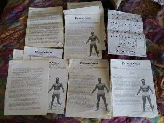Charles Atlas Complete Course 12 Lessons Plus Charts Martial Arts Boxing Dynamic