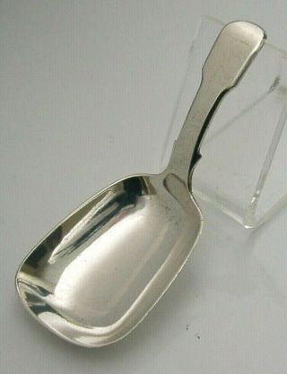 Unusual Shape Georgian Sterling Silver Tea Caddy Spoon 1819 Antique