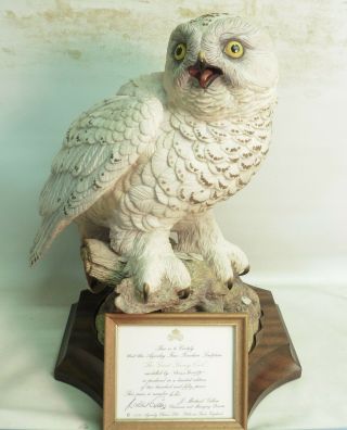 Huge Aynsley Porcelain Bird " The Great Snowy Owl " By Fred Wright Ltd Edt 62/250
