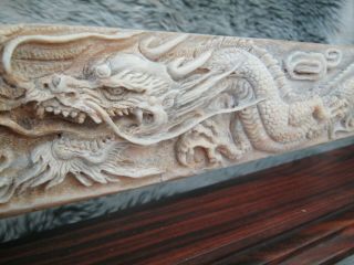 Large 3 Foot Carved Bone Chinese Dragon Fighting A Pheonix - Swordfish Rostrum