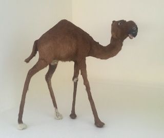 Antique Camel Dromedary Fur Taxidermy Figure Statue