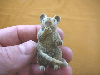 (rat - 3) Gray White Rat Shed Antler Figurine Bali Detailed Carving Pet Rats Mouse