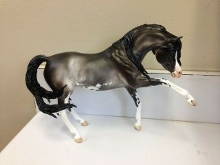 Cm Custom Breyer Horse " Choose Your Own Idea Painted On A Model " By Janice Flynn