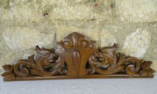 26 " Antique French Hand Carved Wood Oak - Dragon