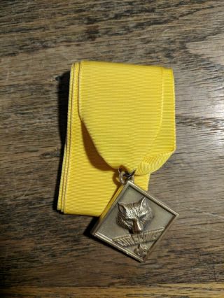 Webelos Den Leader Training Award Medal & Ribbon - Cub Boy Scouts Bsa