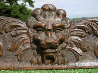 Gothic Oak Carved Pediment With Lion Head To Centre C.  1870