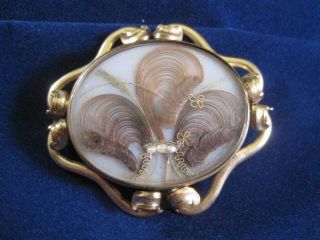 Antique Victorian Mourning Brooch W/ Locks Of Hair & 3 Pearls Representing Tears