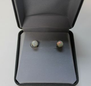 Vintage 10k Yellow Gold Australian Fire Opal Screw Back Stud Earrings