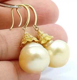 Rare Natural Gold Australian South Sea 13.  2 X 16.  5 Baroque Pearl Dangle Earrings