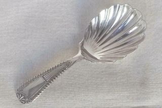 A Stunning Antique Solid Sterling Silver Victorian Shell Tea Caddy Spoon 1897.